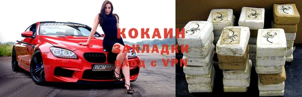 бошки Аркадак