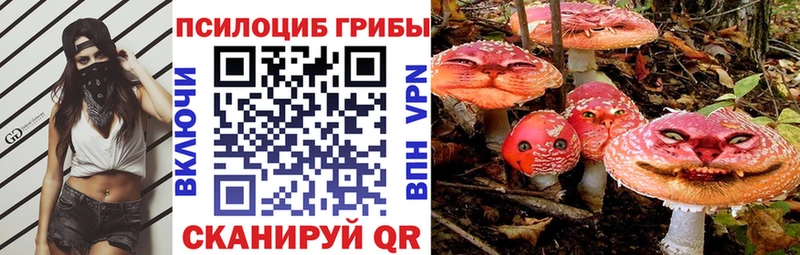 Галлюциногенные грибы мухоморы Новоаннинский